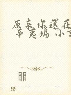 原来你还在这里 辛夷坞 小说