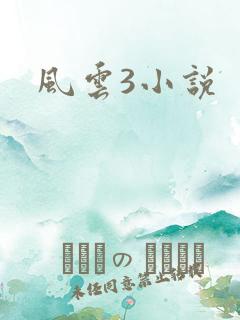 风云3小说