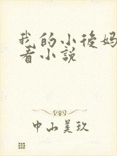 我的小后妈免费看小说