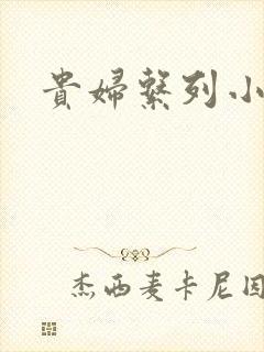 贵妇系列小多美