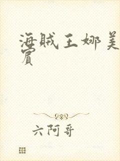 海贼王娜美h罗宾