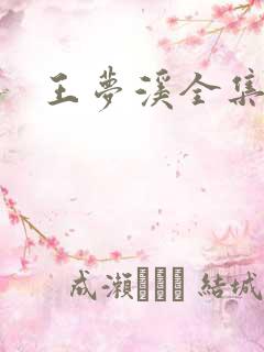王梦溪全集