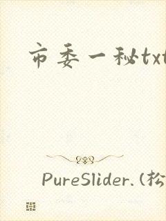 市委一秘txt