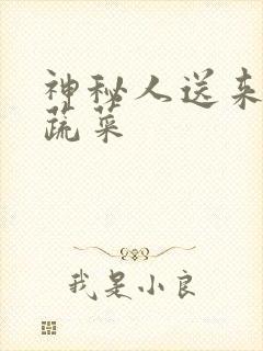 神秘人送来千斤蔬菜