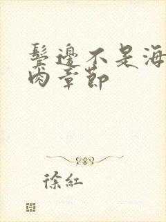 鬓边不是海棠红肉章节