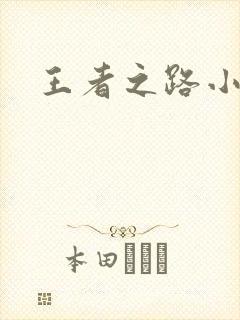 王者之路小说