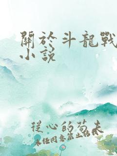 关于斗龙战士的小说