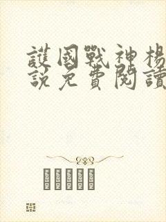 护国战神杨风小说免费阅读