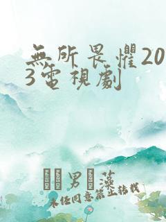 无所畏惧2023电视剧