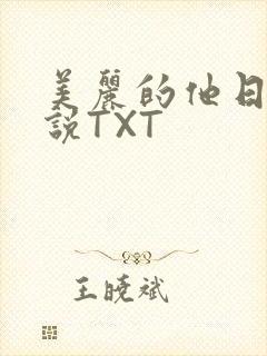 美丽的他日剧小说TXT