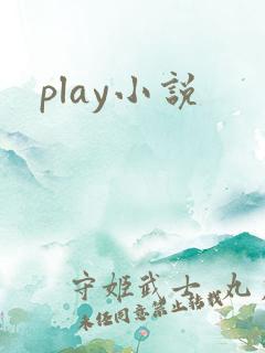 play小说