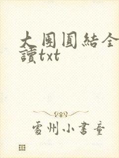 大团圆结全文阅读txt