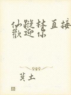 仙踪林直接入口欢迎你