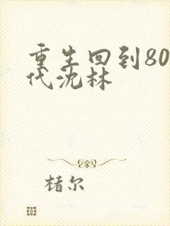 重生回到80年代沈林