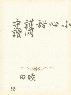 守护甜心小说阅读网