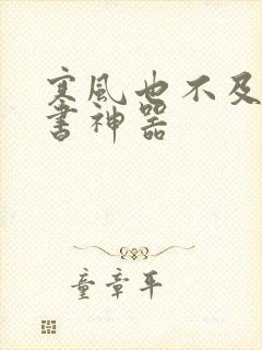 寒风也不及她追书神器