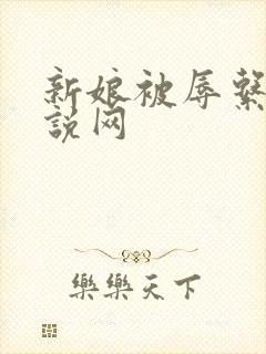 新娘被辱系列小说网
