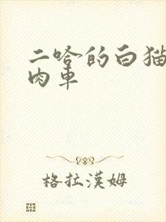 二哈的白猫师尊肉车