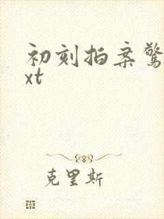 初刻拍案惊奇txt