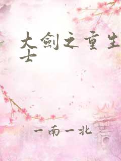 大剑之重生圣骑士