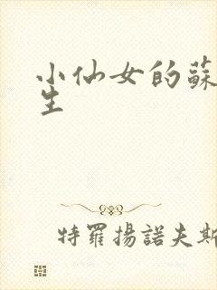 小仙女的苏撩先生