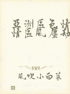 亚洲区色情区激情区风尘劫