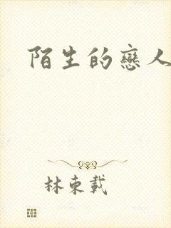 陌生的恋人小说