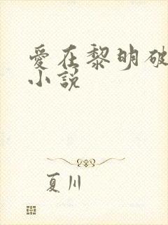 爱在黎明破晓前小说