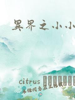 异界之小小法师