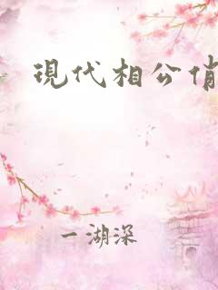 现代相公俏佳人