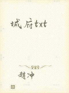 城府txt