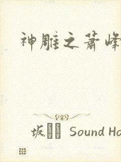 神雕之萧峰后人