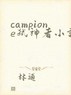 campione弑神者小说