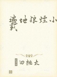 遍地狼烟小说下载