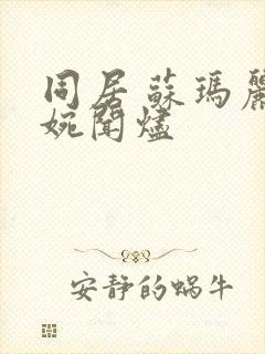 同居 苏玛丽蒋婉闻烬