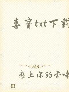 喜宝txt下载