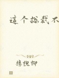 这个总裁不听话