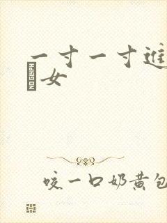 一寸一寸进入小姪女