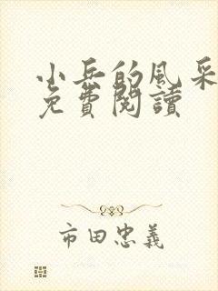 小兵的风采小说免费阅读