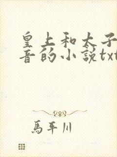 皇上和太子妃沈音的小说txt