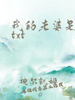 我的老婆是警察txt