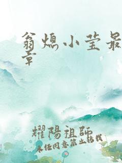 翁熄小莹最新节章