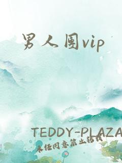 男人团vip