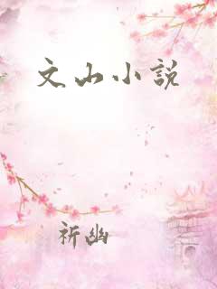 文山小说