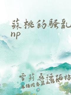 苏桃的骚乱文肉np