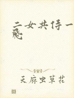 二女共侍一夫双飞