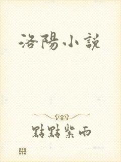 洛阳小说