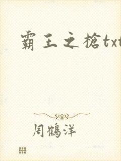 霸王之枪txt