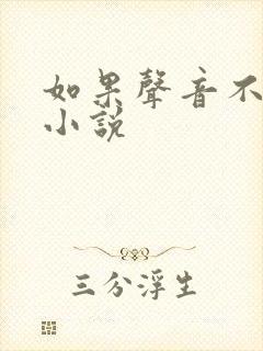 如果声音不记得小说