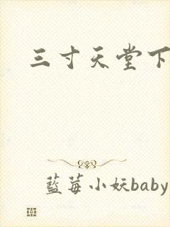 三寸天堂下载